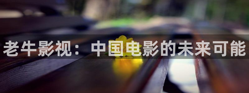 蜜桃视频在线观看不卡：老牛影视：中国电影的未来可能